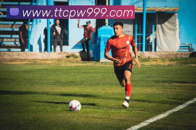 天天彩票官方网站平台生态图